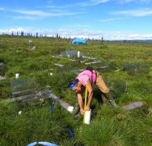 Measuring Depth of Soil Surface