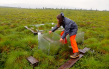 Meghan Taylor Moving Chamber