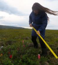 Emily Romano Depth to Permafrost