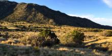 Sandia Foothills