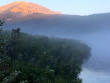 Morning Mist at Waterton