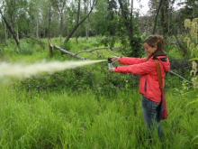 Bear spray practice