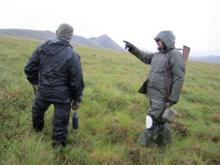 Tundra Hiking    