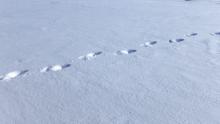 Footprints