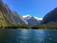 GlacierRainforestFjord