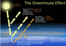 Greenhouse Effect