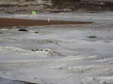 A total of six seals including a baby were basking on the ice.