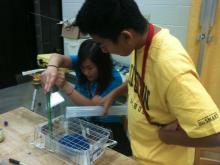 Students use water levels to create a topographic map of a clay mountain.