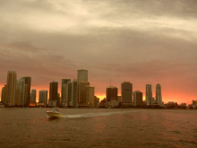 The Miami Sunset