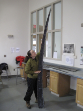 Bowhead whale baleen