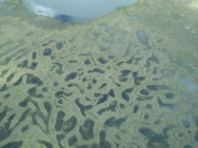 Permafrost Polygons