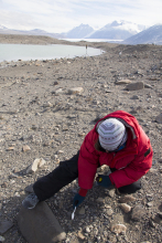 Collecting soil