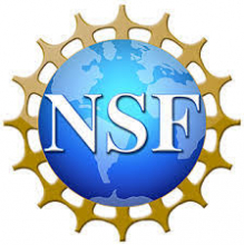 NSF Logo