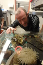 touch tank