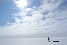 The Beauty of the Greenland Ice Sheet