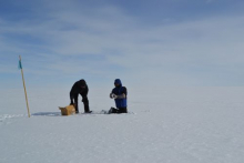 Snow Sampling