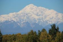 South view of Denali