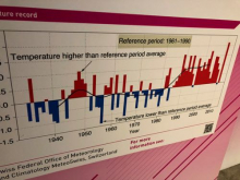 Temp graph