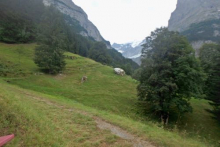 Grindelwald Trails 1