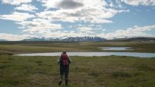 walking across the tundra