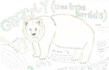 Grizzly bear species journal