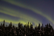 Aurora Borealis (5)