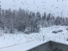 Ice crystals on the window