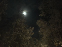 Moon at Chena Hot Springs