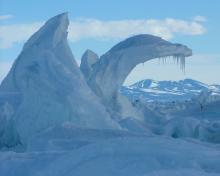 Pressure ridge sculptures.