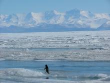 Royal Society Range as seen from McMurdo.