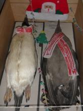 Taxidermied Adelie penguin and Skua in Crary Lab, McMurdo