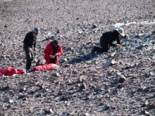 Hunting for fossils