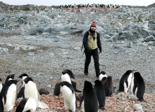 Penguin researcher in the field.