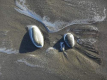 Interesting beach patterns created by rocks on the beach.