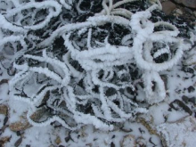 Hoar frost coating the helicopter sling.