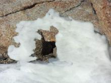 Tiny snow bridge on snow field.