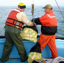 Attaching the cups to the CTD.