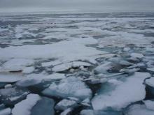 Ice over the Hanna Shoal.  August 2013. 