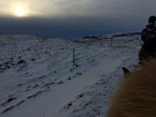 Low pressure over the horses mane! Approaching low pressure system approaches the coast of Hveragerði Iceland from the southwest.  Photo by Lisa Seff.  February 19, 2016.