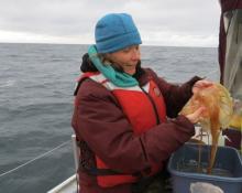 Life jackets on the R/V Ukpik.  Beaufort Sea. Transect 6