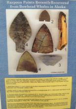 Poster of stone weapons found recently in bowhead whales.