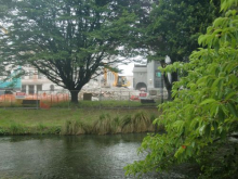 Downtown construction through trees