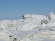 A polar bear sculpture on the ridges!