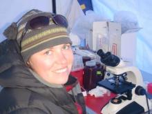 Anne Jungblut counting different species under the microscope.