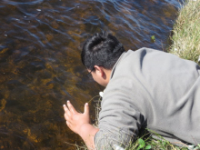 Ronin at the Stickleback Lake