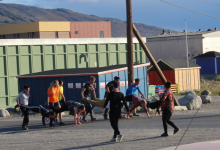 Wheelbarrow Race