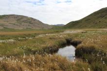 Near Kellyville, Greenland