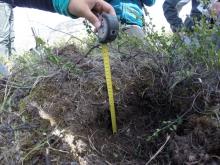 Permafrost & Soil Profile