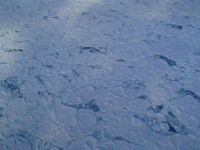 Sea Ice