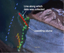 Google Earth map of the glacier margin area.